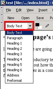 Picture of "Choose a paragraph format" drop down in Seamonkey Composer